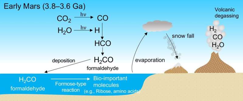 Biomolecules from formaldehyde on ancient Mars