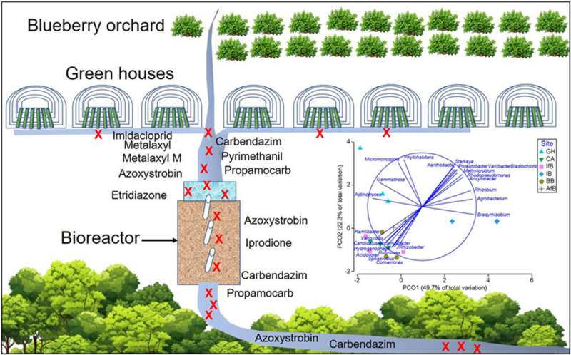 Bioreactor reduces pesticide run-off from horticulture greenhouses