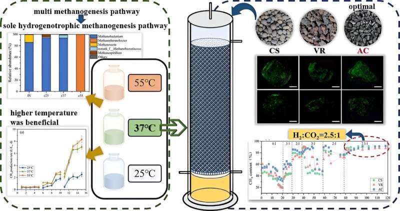 Biotrickling filter supports efficient hydrogen-methane conversion for biological biogas upgrading