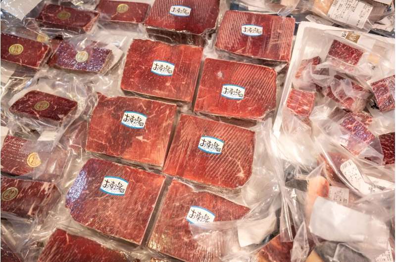 Blocks of whale meat on display at a Japanese fish market