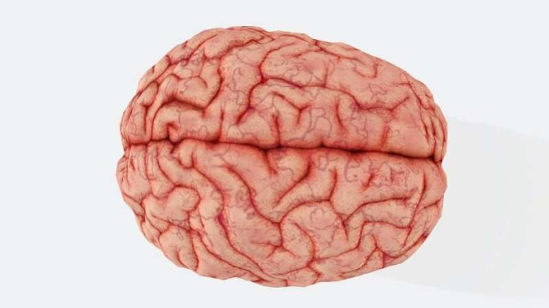 blood-brain barrier