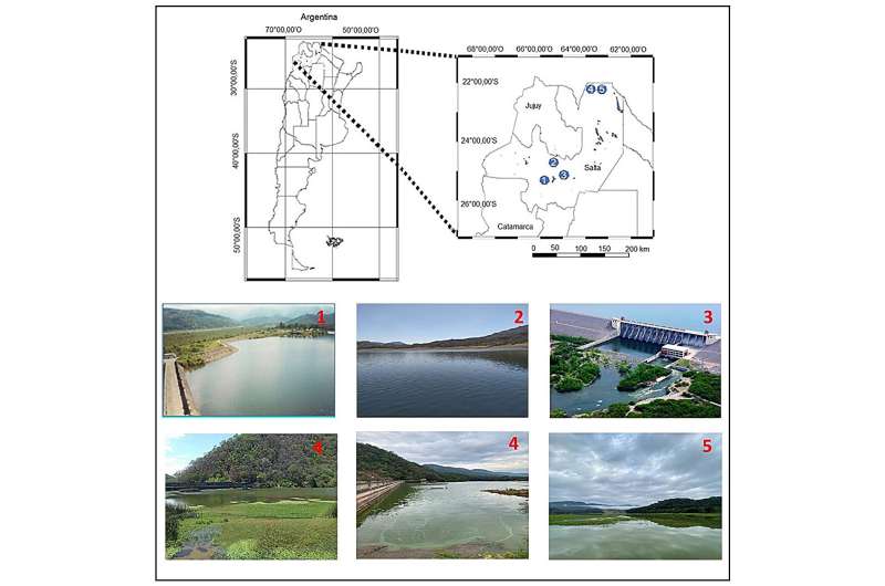 Bloom-forming cyanobacteria and dinoflagellates in five Argentinian reservoirs: a multi-year sampling