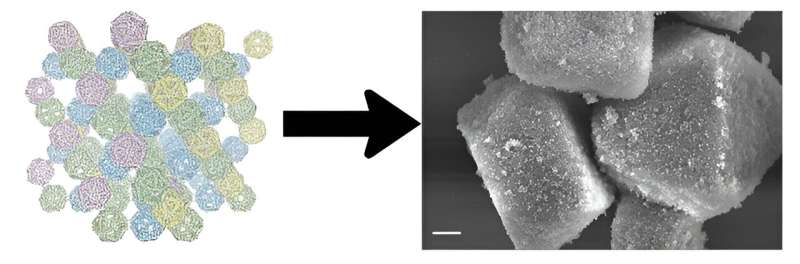 Blueprints of self-assembly