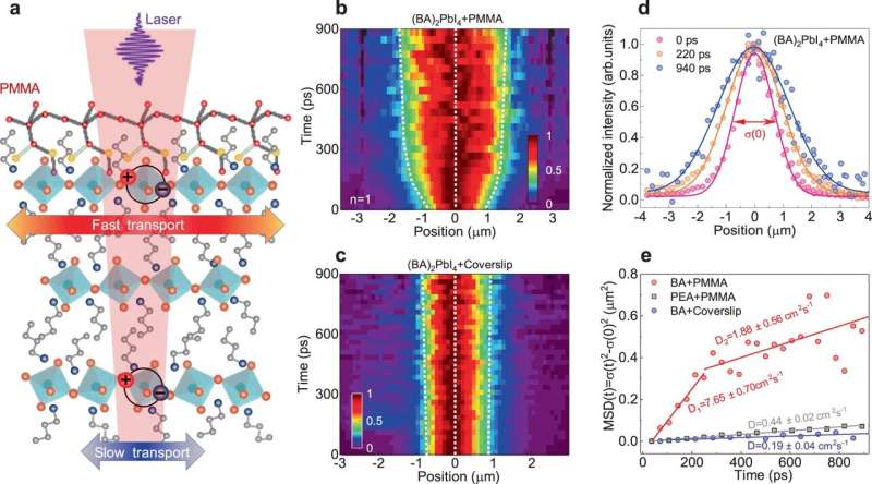 Boosted exciton mobility approaching the Mott-Ioffe-Regel limit in a 2D Ruddlesden-popper perovskite