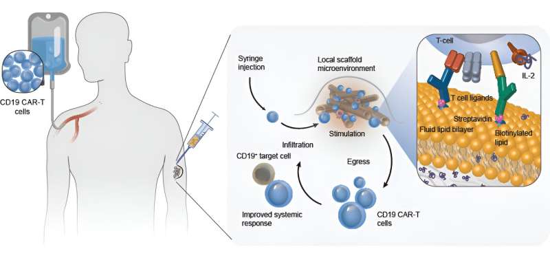 Boosting CAR-T cell therapies from under the skin