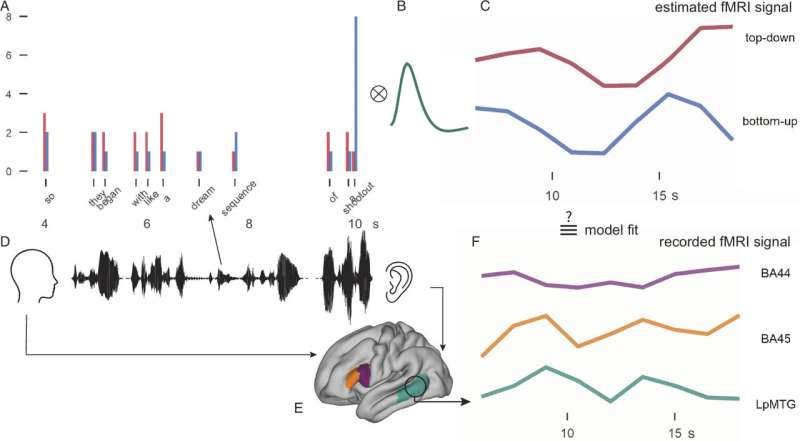 Brain responses to sentence structure differ for speaking and listening