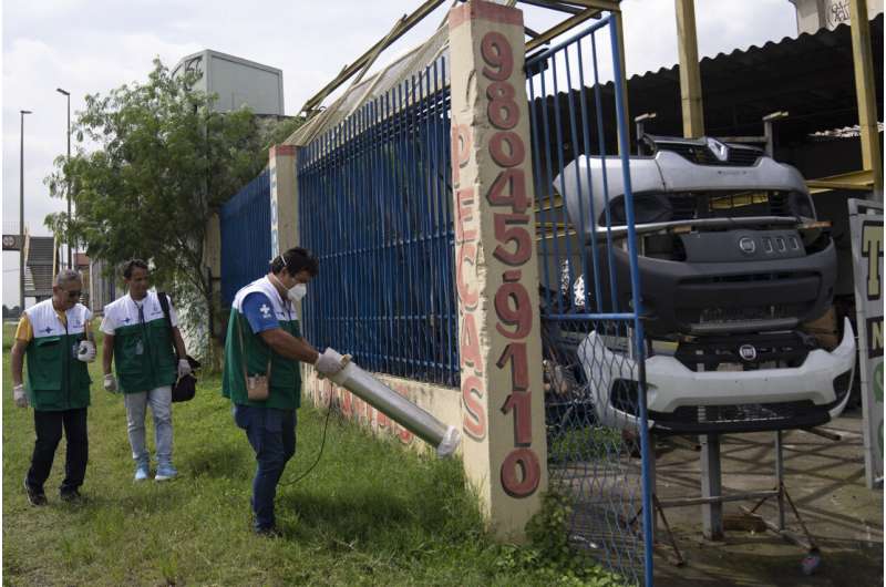 Brazil's health agents scour junkyards and roofs for mosquitos to fight dengue epidemic