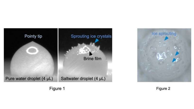 Breaking the ice: Molecular insights into saltwater droplet freezing