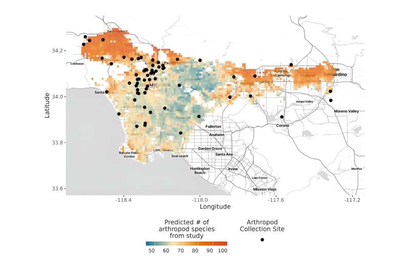 Bugs thrive in urban Los Angeles—volunteers' traps reveal biodiversity hot spots for city insects and spiders