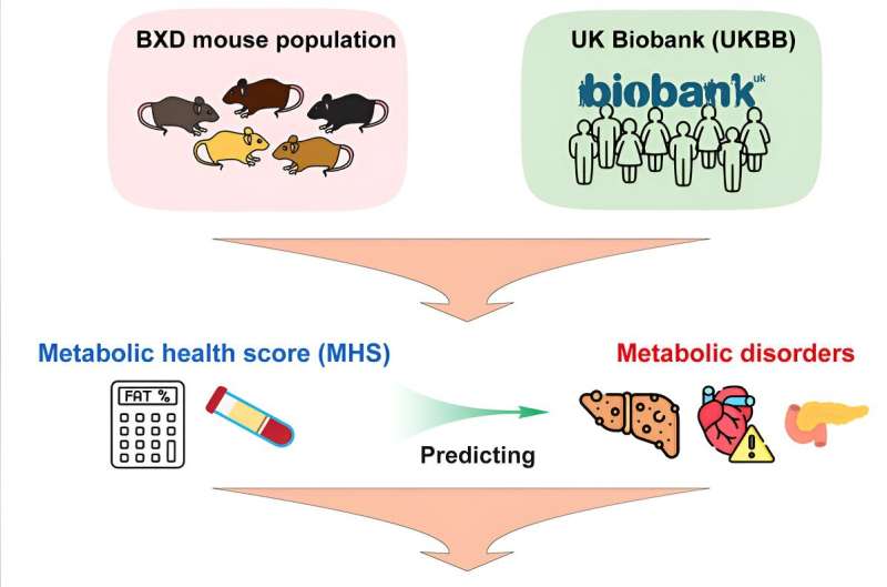 Building a blueprint of metabolic health—from mouse to human