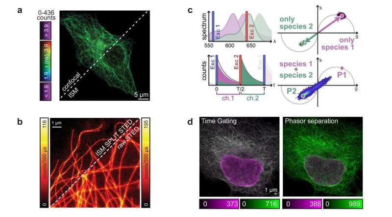 Building images photon-by-photon to increase the information content provided by microscopes