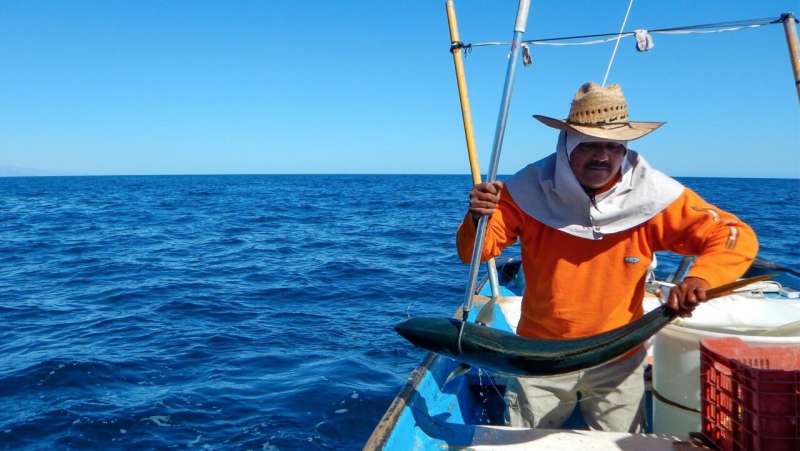 Business operations affect fishermen's resilience to climate change, new study finds