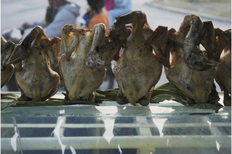 Cambodia reports a new bird flu case, the brother of a 9-year-old who died of the virus