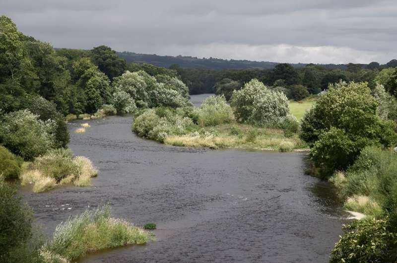 Campaigners say pollution caused by chicken manure has harmed the water quality of England's River Wye