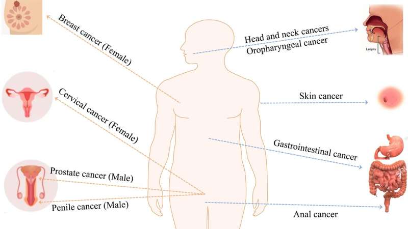 Cancers associated with human papillomavirus