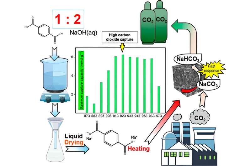 Capturing carbon with energy-efficient sodium carbonate−nanocarbon hybrid material