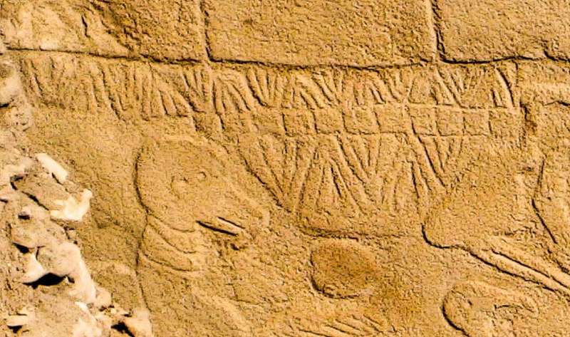 Historic carvings in Turkey may well be earliest sun calendar