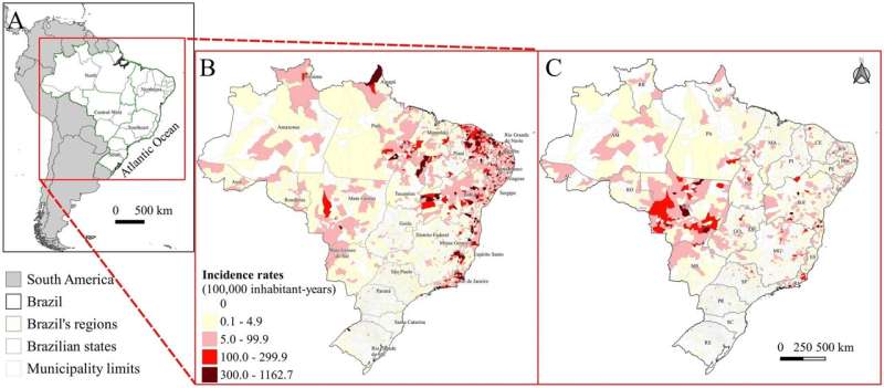 Cases of chikungunya and zika fall in Brazil, but most risk clusters exhibit an upward trend