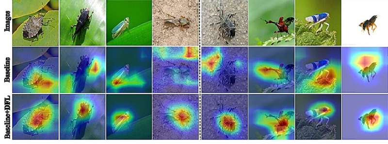 Causality-inspired method boosts crop pest recognition