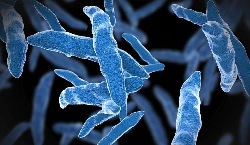 CDC: tuberculosis case counts, rates increasing since 2020
