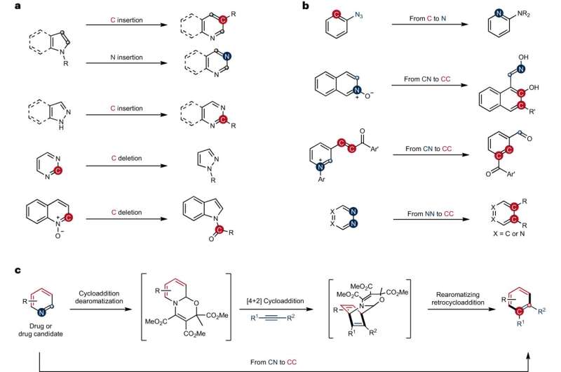 Chemical synthesis: New strategy for skeletal editing on pyridines