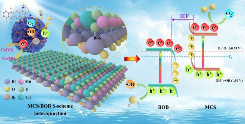 Chemically bonded Mn₀․₅Cd₀․₅S/BiOBr S-scheme photocatalyst with rich oxygen vacancies for improved photocatalytic decontamination performance