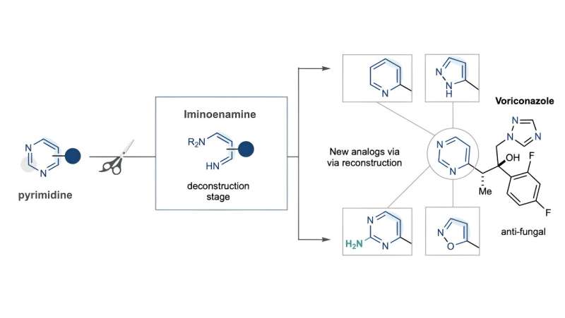 Chemistry researchers showcase new method to aid in pharma, agrochemical compound development