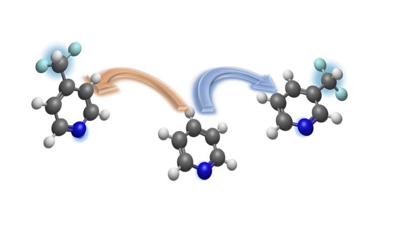Chemists develop New method for introducing fluorinated components into molecules