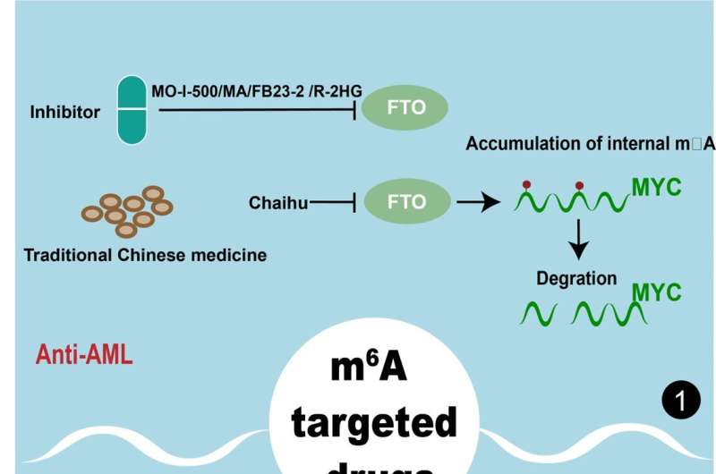 Chinese Medical Journal Review highlights novel pathogenic mechanisms and therapeutic potentials in cancer treatment targeting internal N6-methyladenosine and N7-methylguanine