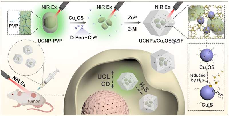 Chiral nanocomposite for highly selective dual-mode sensing and bioimaging of hydrogen sulfide