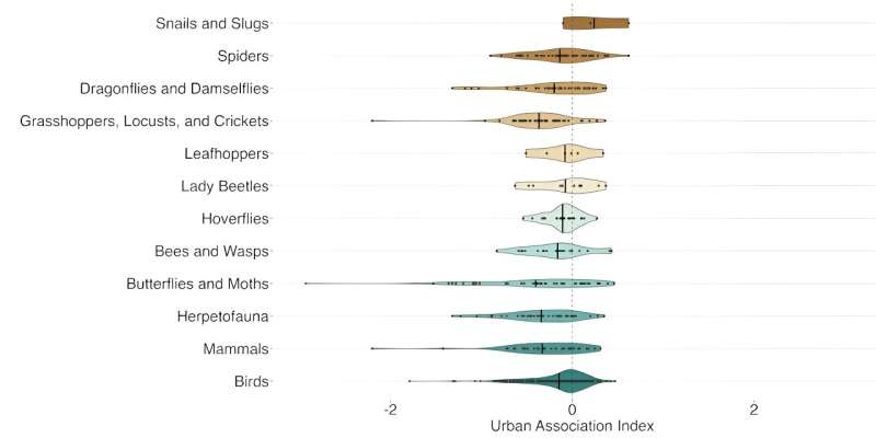 Cities contain pockets of nature—our study shows which species are most tolerant of urbanization