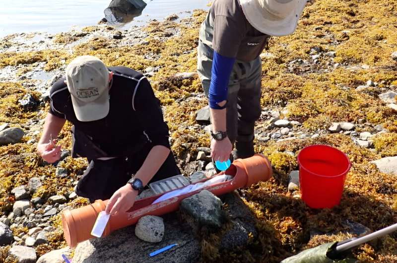 Climate change in Greenland could cause trouble for arctic char