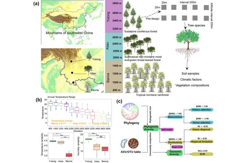 Climate-dependent dispersal limitation plays important role in mountain soil microbiome