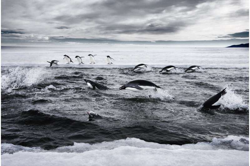 Climate-smart marine spatial planning in Antarctica can be a model for the global ocean