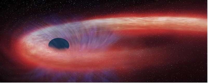 Close encounters of the supermassive black hole kind: tidal disruption events and what they can reveal about black holes and stars in distant galaxies