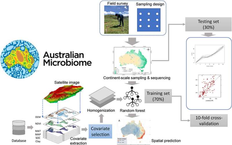 Close look at Australia's soil profiles