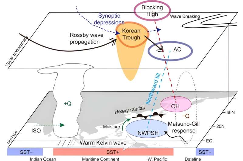 Co-amplification in atmospheric fluctuations caused heavy rainfall over Japan in August 2021