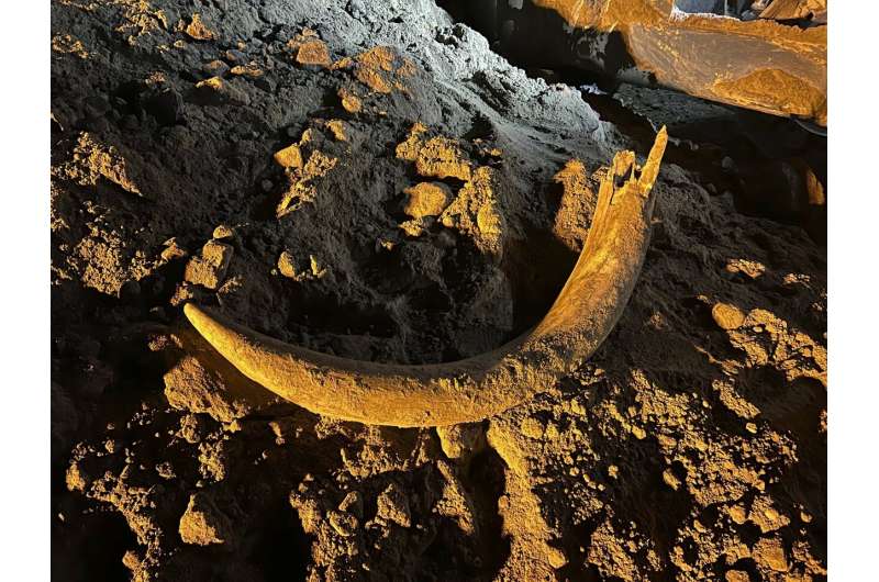 Coal miners in North Dakota unearth a mammoth tusk buried for thousands of years