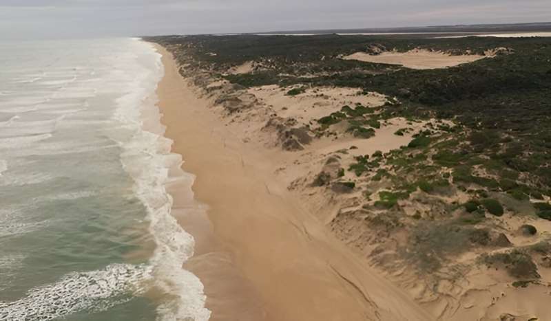 Coastal dunes are retreating as sea levels rise. Research reveals the accelerating rate of change