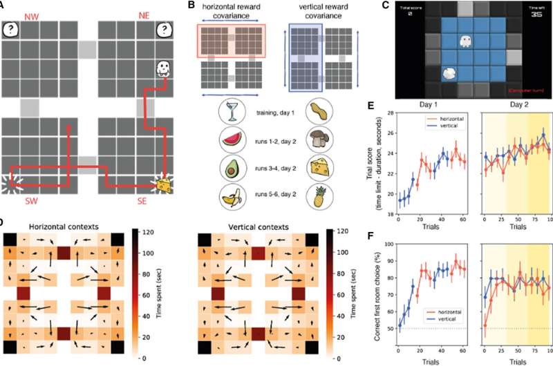 Cognitive maps in some brain regions are compressed during goal-seeking decision-making
