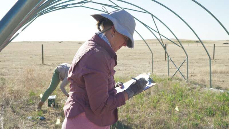 Colorado State researcher leads global study of extreme drought impacts on grasslands and shrublands