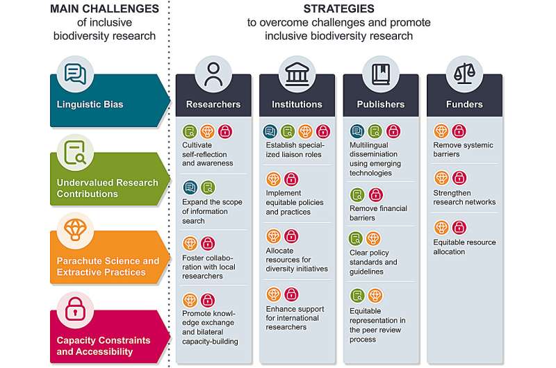 Comprehensive framework to promote diversity, equity, and inclusion in global biodiversity research