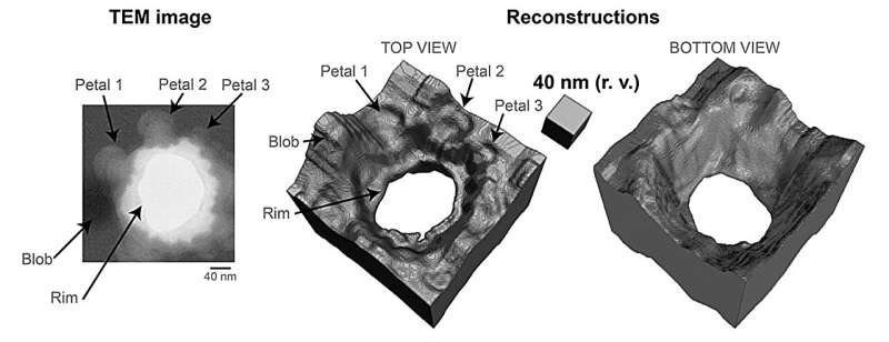 Computational lens unmasks hidden 3D information from a single 2D micrograph