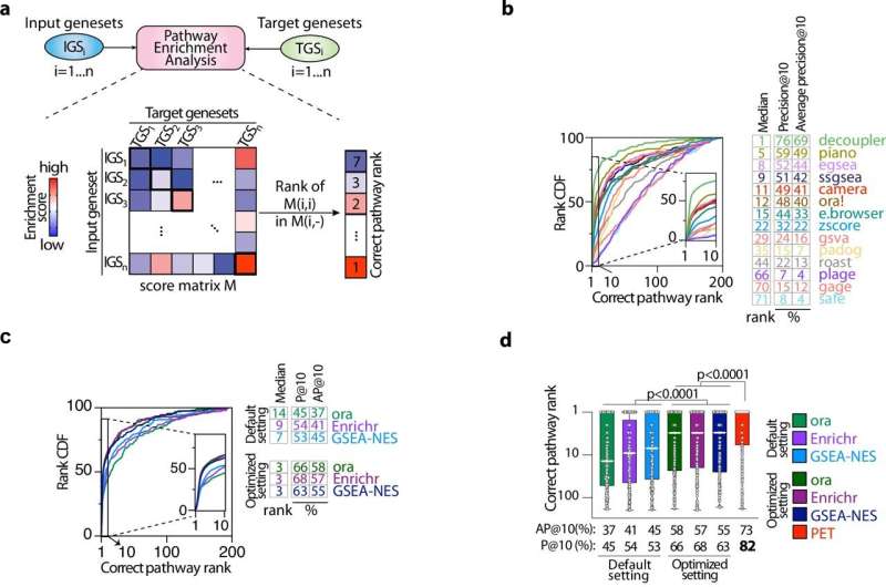 Computational tool reveals untapped efficacy of cancer drug, leveling up cancer fight