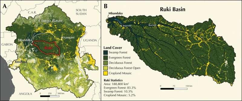 Congo's blackwater Ruki River is a major transporter of forest carbon—new study