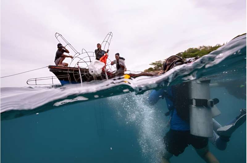 Conservation divers prepare to drop an artificial structure for coral planting near Koh Tao island in Thailand