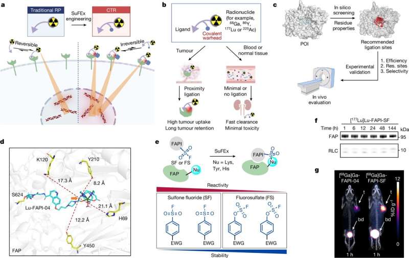 Covalent targeted radioligands potentiate radionuclide therapy
