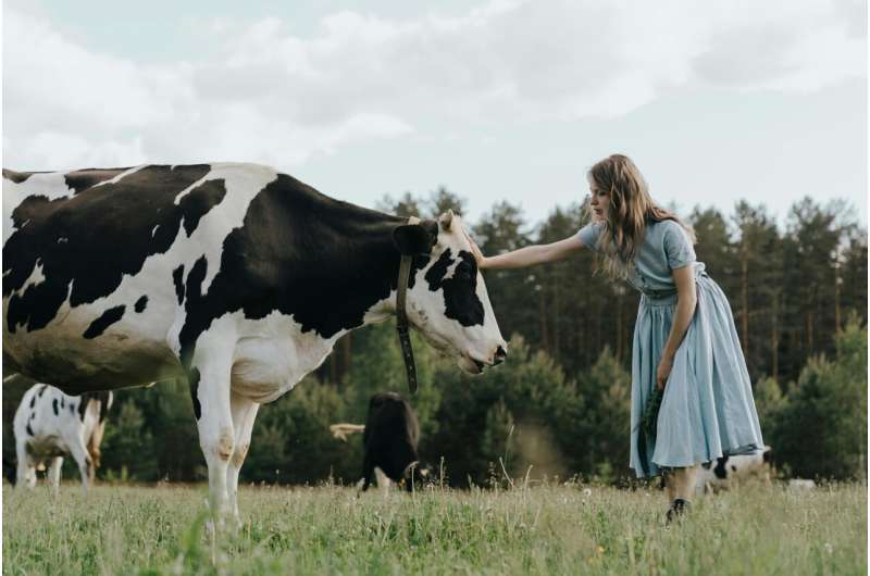 cow and woman
