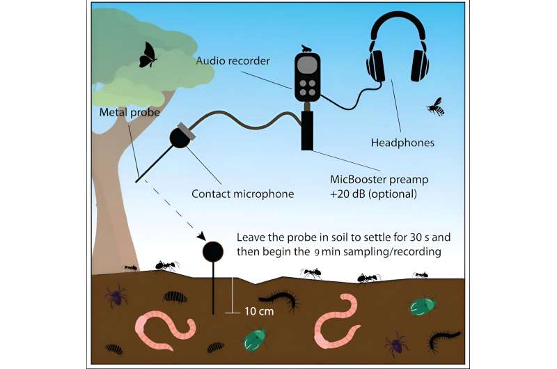 Crackles, clicks and pops – now we can monitor the 'heartbeat' of soil