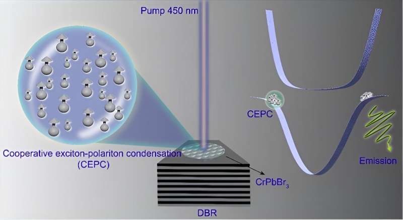 Create cooperative exciton-polariton condensate